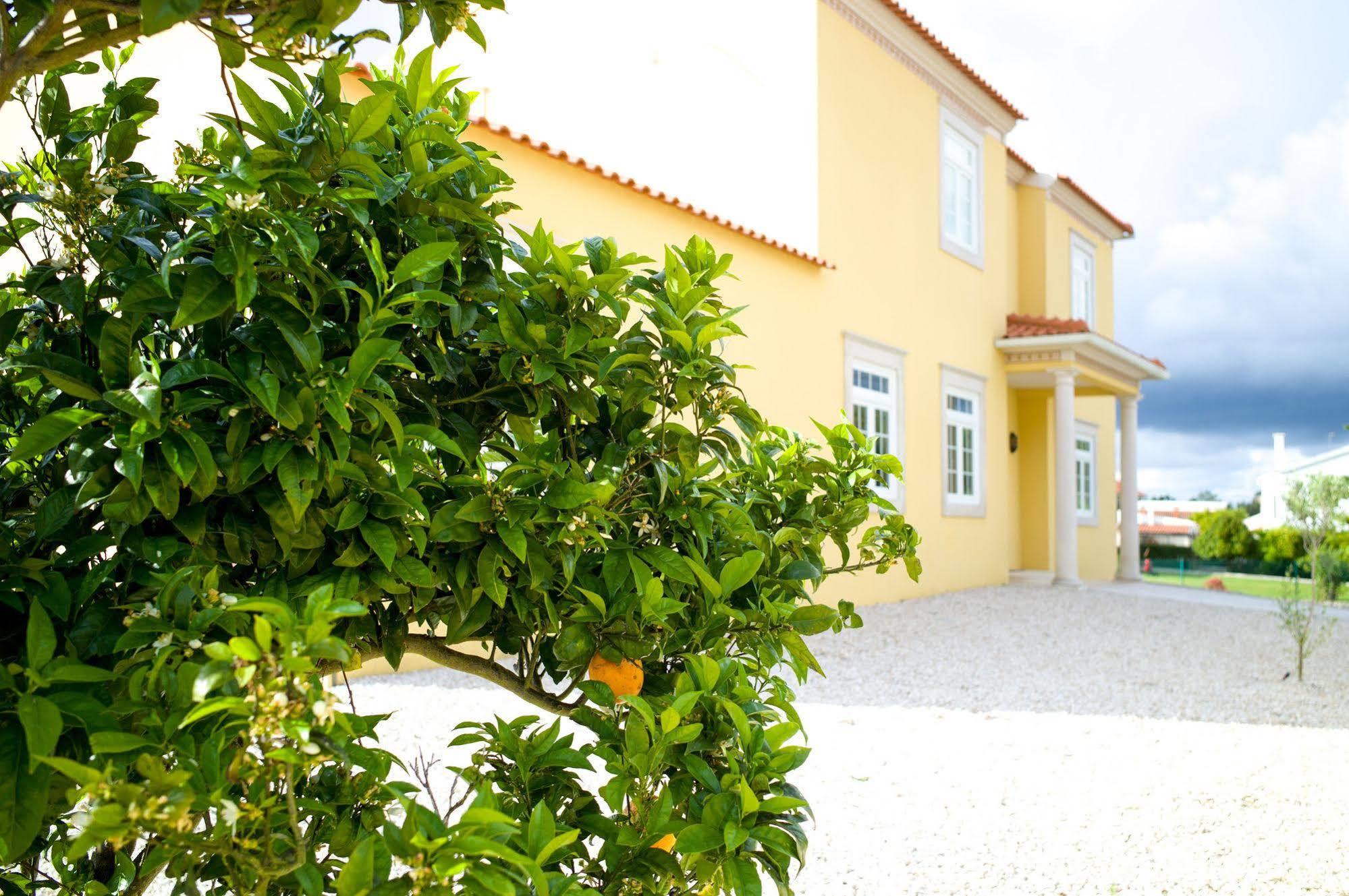 לינה וארוחת בוקר Nadadouro Casa Pedra Nobre מראה חיצוני תמונה