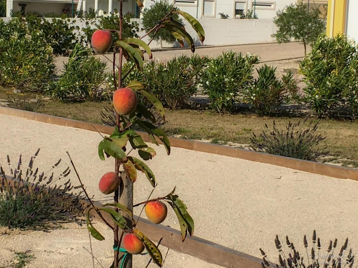 לינה וארוחת בוקר Nadadouro Casa Pedra Nobre מראה חיצוני תמונה